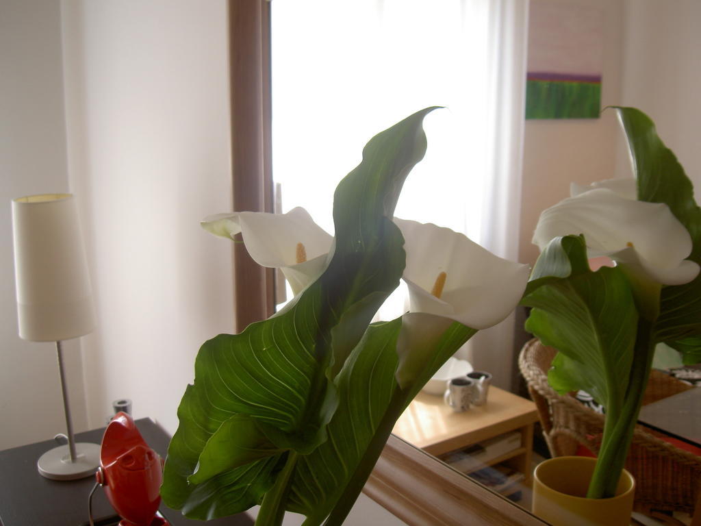 토리노 A Casa Romar B&B 외부 사진